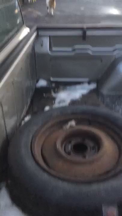 This guy is having the best day of his life