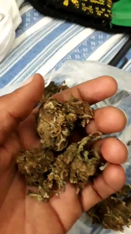 cannabiol tag on twitter twipu