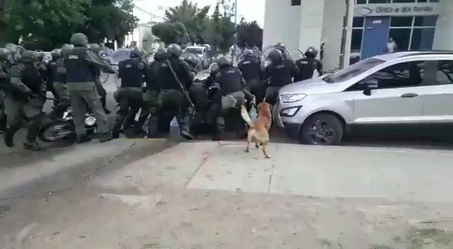 Video insertado