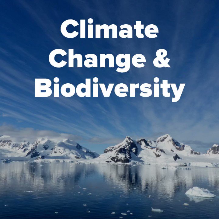 #Biodiversity Action is #ClimateAction! We must promote wise use and preservation of biodiversity as part of our approach to fighting #ClimateChange. The more voices that are raised to support this at #COP24 and into the future, the better it will be for #PeopleAndPlanet