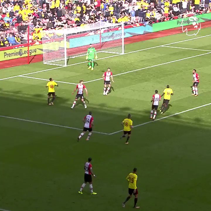 Dutch delight to get @WatfordFC fans on their feet 🐝
#GoalOfTheDay @daryljanmaat89
