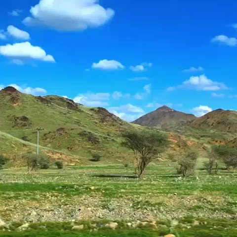 Встроенное видео