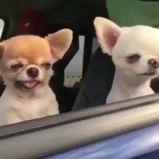Cuando vos estas re careta pero tu amigo no puede disimular el pedo