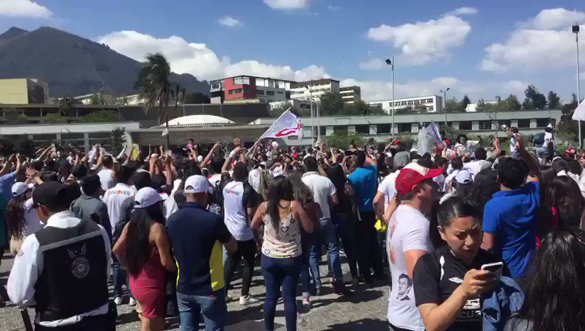 Video insertado