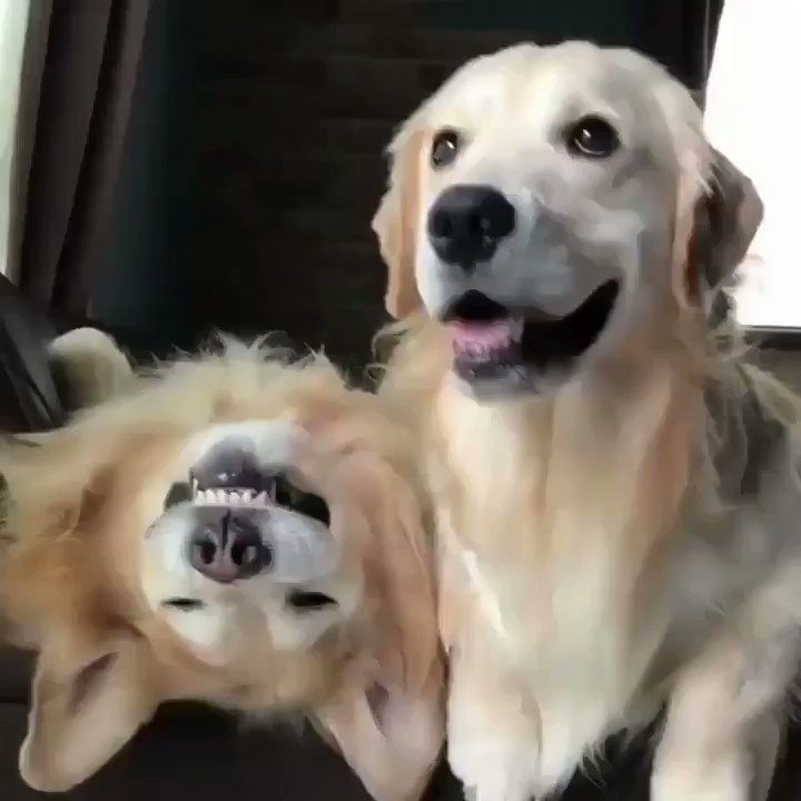 cuando tu amigo esta en pedo y vos haces como que no pasa nada para no pasar verguenza