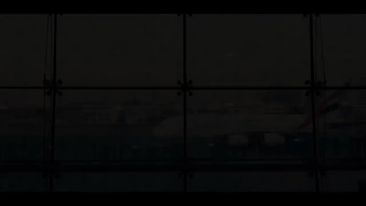Embedded video