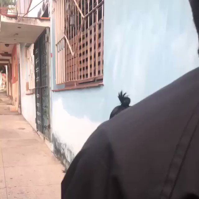 Happy birthday my world 💜 https://t.co/kPapfYSgZD<a href="/tag/teammalu"class="tags"><span>#teammalu</span></a>