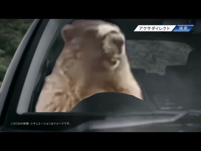 ちゃちゃはらさん の人気ツイート 1 Whotwi グラフィカルtwitter分析 ちゃちゃはらさん の人気ツイート 1 Whotwi グラフィカルtwitter分析