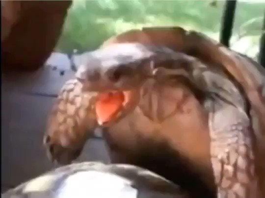 Ya niggas scared to moan during sex, whole time Iโm in my girl ear like
