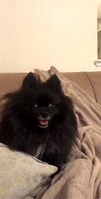 When you realize Christmas is in 4 days ?? https://t.co/p9LJFlrppo