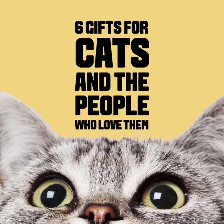 Let’s be clear—these gifts are not also for humans who happen to have cats. These gifts are for the cats themselves to enjoy. We know who the real boss is here. https://trib.al/VjJfwRv