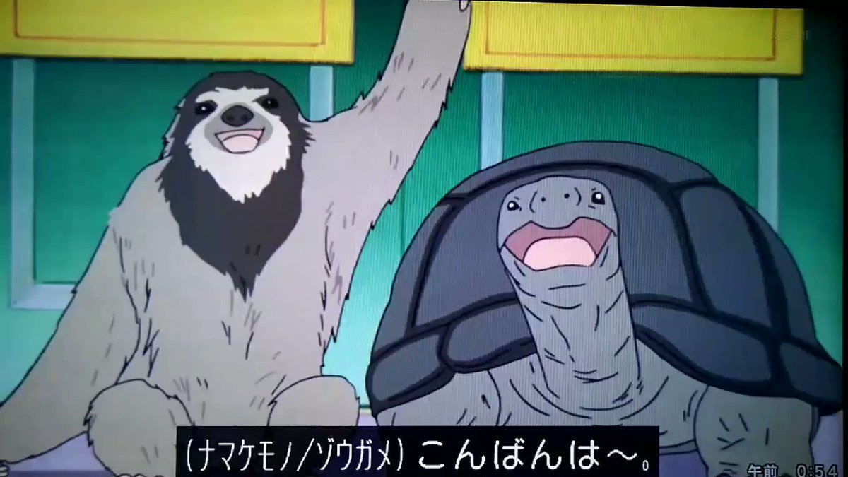Lain しろくまカフェ うちも新年はゾウガメさんとナマケモノさん連れてこよう Lain しろくまカフェ うちも新年はゾウガメさんとナマケモノさん連れてこよう