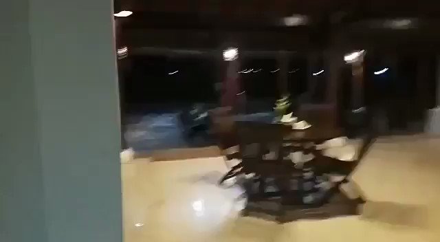 Video insertado