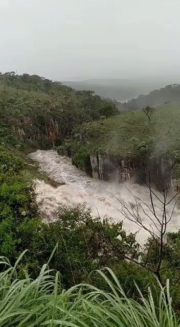 Vídeo incorporado