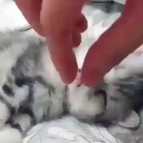 Mengaku jelah korang semua pernah buat 🤣🤣🤣