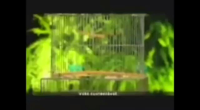 Dizem que se postar esse vídeo você perde a conta, vamos ver. Nilce na campanha do Paulo Garcia do PT.