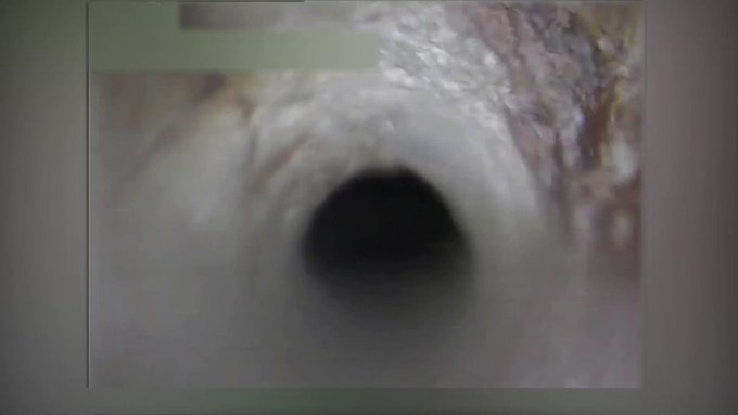 Embedded video