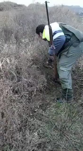 Nunca me ha gustado la caza.
Nunca.
Siempre he escuchado a cazadores y he intentado entender su discurso, de contribuir al ecosistema y respeto y amor a la naturaleza... desde luego basuras humanas, escoria, como el individuo del vídeo no ayudan nada...