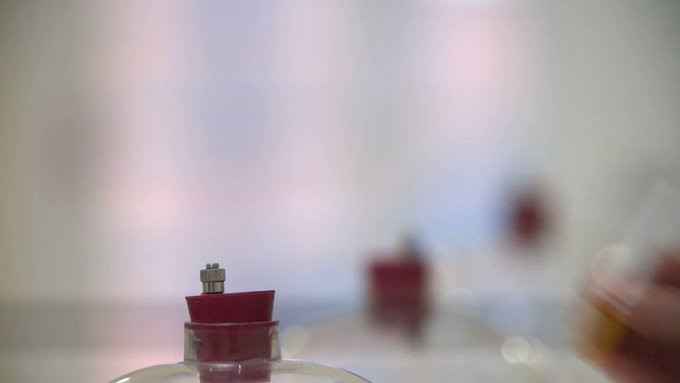 Embedded video