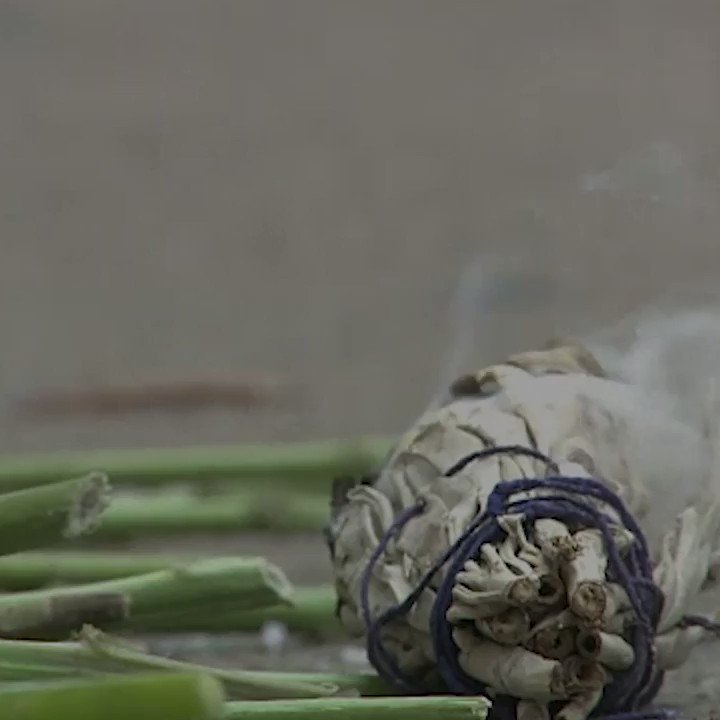 People have been burning sage for centuries now. But why? 🔥