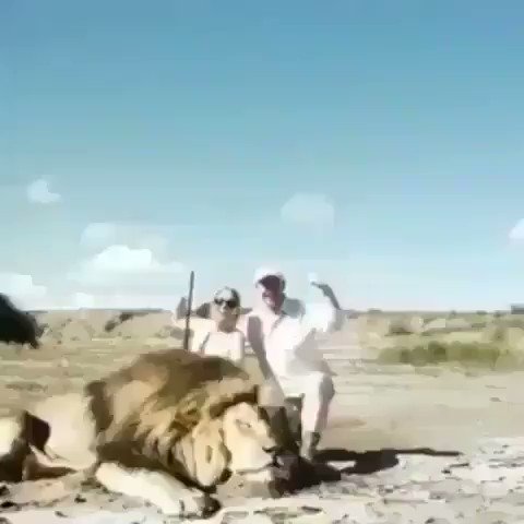 KARMA
We don't deserve these majestic creatures.
Retweet if you believe TROPHY HUNTING should be ILLEGAL!