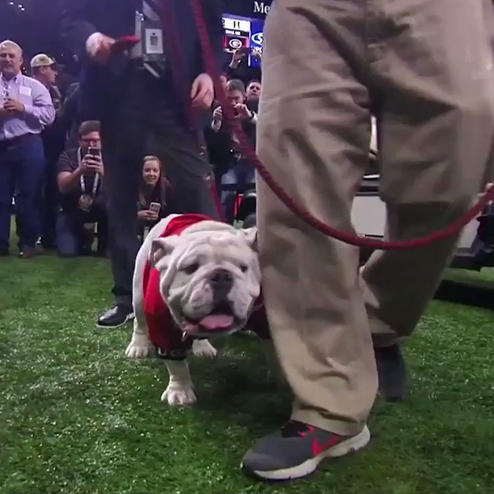 ESPN (@espn) on Twitter photo 02/01/2019 04:03:41 Well, the Sugar Bowl just got a lot more interesting ... Well, the Sugar Bowl just got a lot more interesting ...