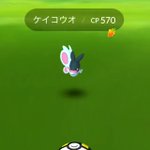 ポケモンgoで ケイコウオ が話題に ポケgo トレンディソーシャルゲームス