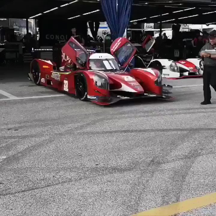 Beautiful day in #Daytona meeting all the fans and the #NikoPowered community. @AlianzaRacing gave us a closer look of the 2019 #racecar in the new wrap. Qualifying races start up soon @DISupdates 😃
#imsa #rolex24 #roar24 #rolex24atdaytona #imsapc #blockchain #cryptocurrency