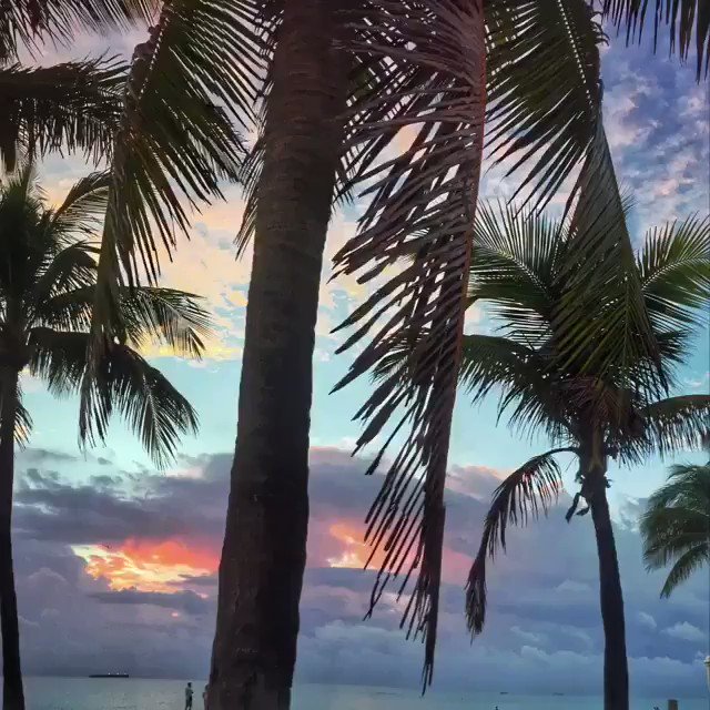 Fred Elm Elm Tree Investment Advisors Elm20101 Twitter