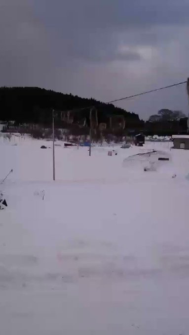 Embedded video