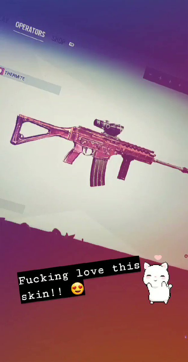 i loveeeeee this skin!! @Rainbow6Game #Rainbowsixsiege #R6s #ThankyouAlphaPack