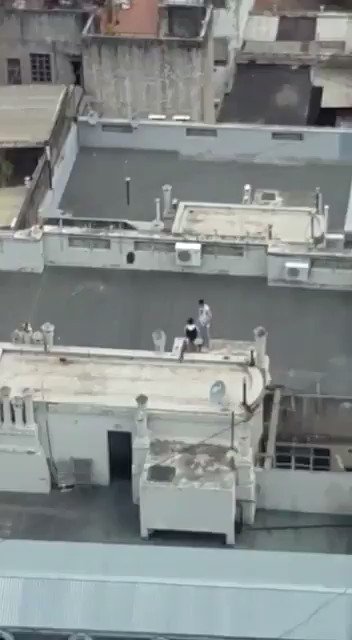 Video insertado