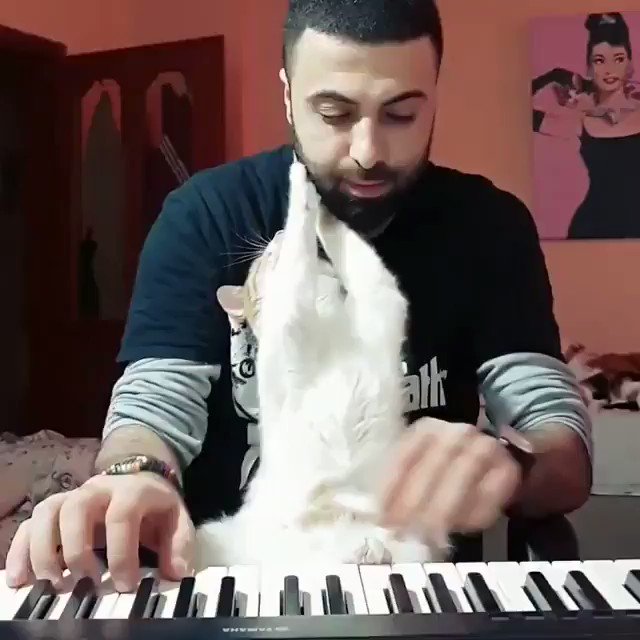 Nature is Amazing ☘️ (@AMAZlNGNATURE) on Twitter photo 12/01/2019 12:17:20 My heart just melted. My heart just melted.