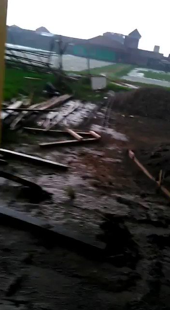 Embedded video