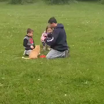 Thank God the little boy saved the cat.