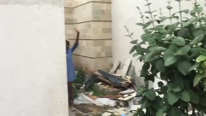 Video insertado