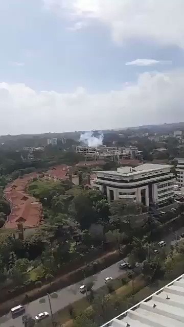 Video insertado