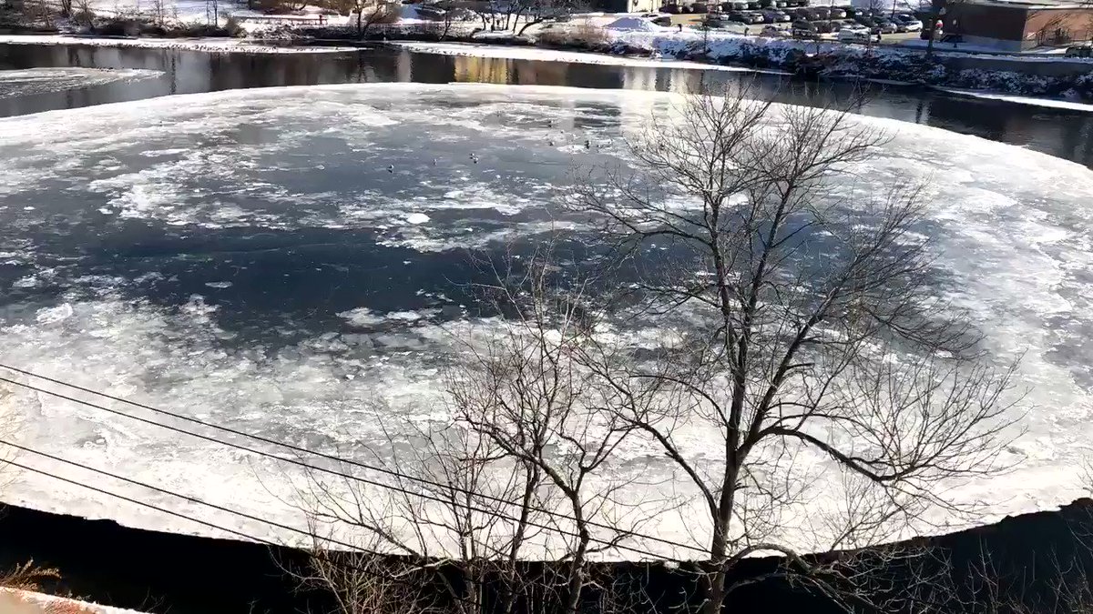 Ryan Breton (@RyanBretonWX) on Twitter photo 16/01/2019 22:31:52 Another view... Another view...