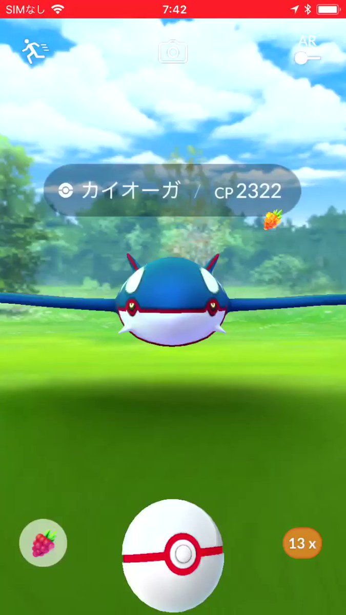 カイオーガ 捕獲 動画 最高のイラストと図面
