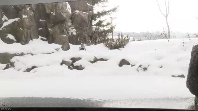 とーげ 北海道移住者 渓流釣り好き 魚の動きが鈍い 冬はこんな感じなんだ