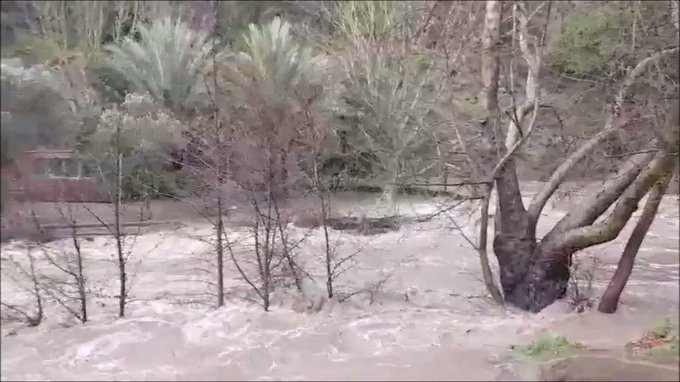 Ενσωματωμένο βίντεο