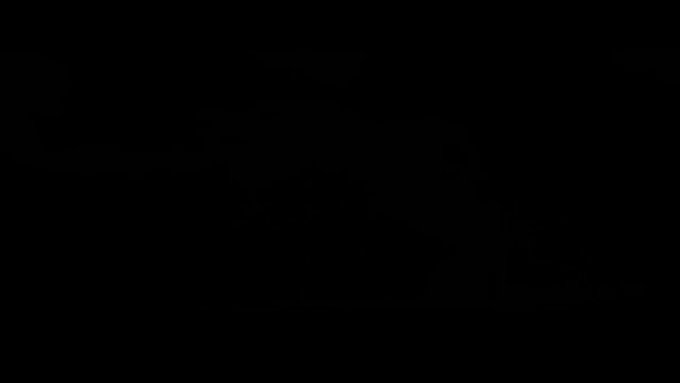 Embedded video