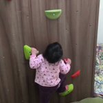 前世はスパイダーマン!？2歳児の身体能力にビックリw上手すぎるでしょ!