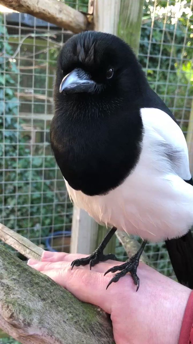Bree!
