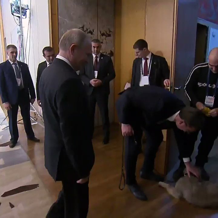 セルビアがプーチン大統領に子犬をプレゼント