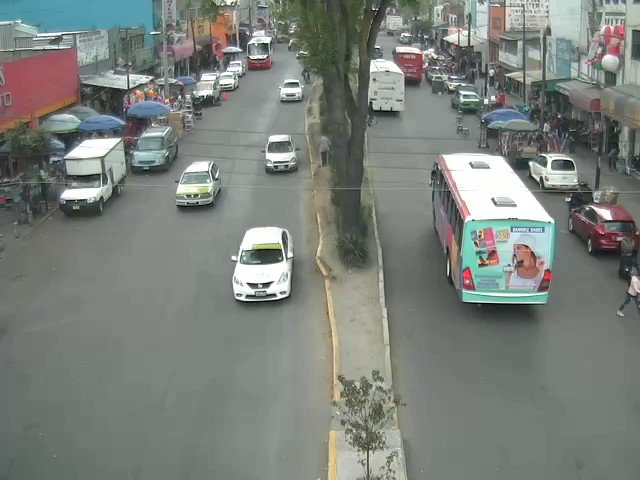Mediante las cámaras de vigilancia del @C5Edomex, se observó a una persona ser atropellada por una unidad del transporte público en Isidro Fabela y Gustavo Baz, en #Toluca; elementos de #Seguridad brindan apoyo en la zona. #Utiliza los lugares indicados para el #CruceDePeatones