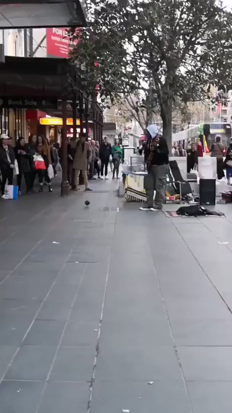 路上ライブで鳩が踊り出して和む～！