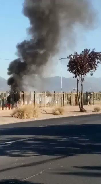 Video insertado