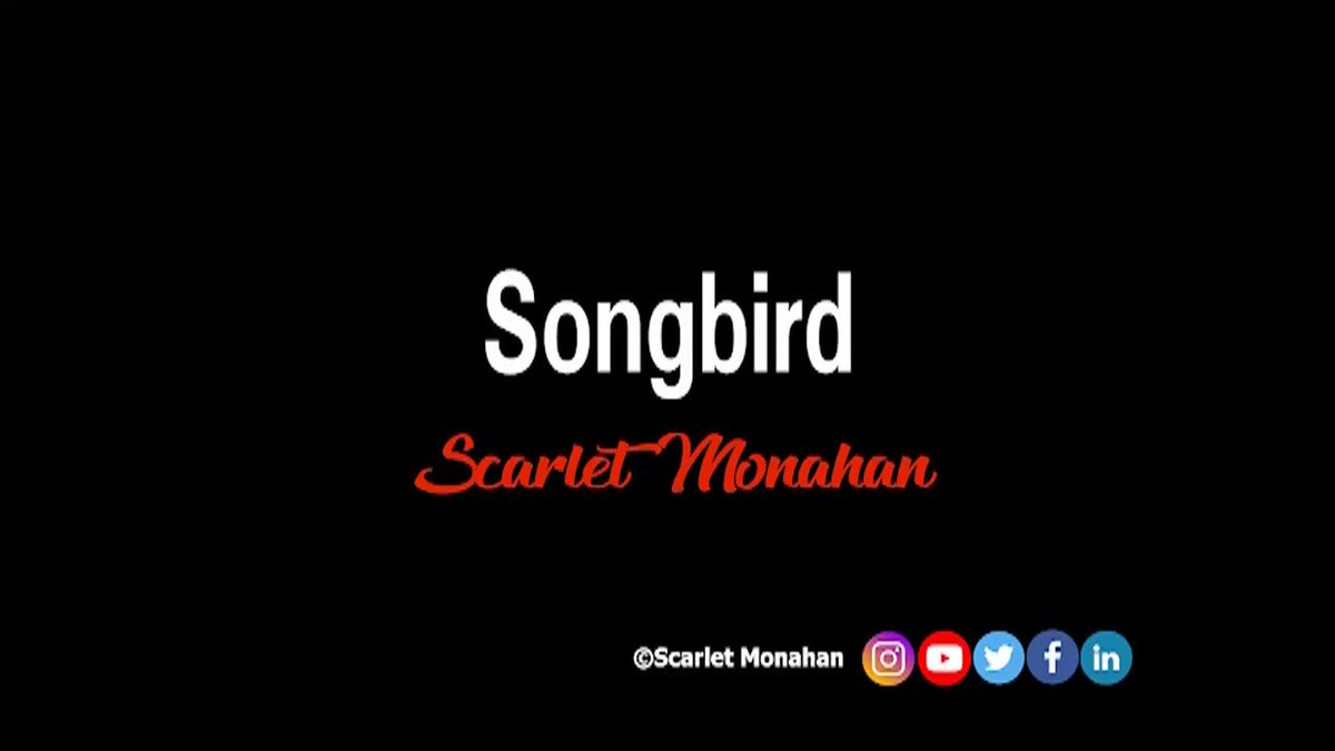 Songbird #poetry #poet #poem #soundscape #wordart #artist #art #poetryart #music #poetrymusic #poetrylyrics #theword #sound #video #ViralVideos 71