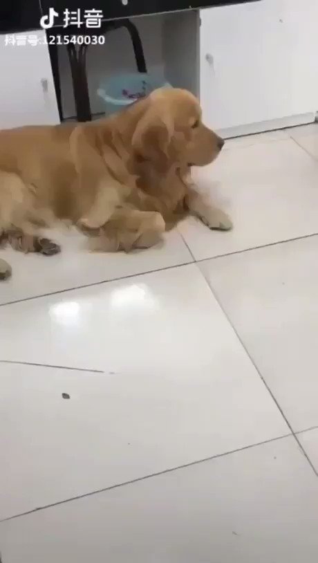 - Andá a buscar a tu hermano para una foto